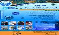 همایش کشوری آموزش و مراقبت جامع نگر در پاندمی کرونا